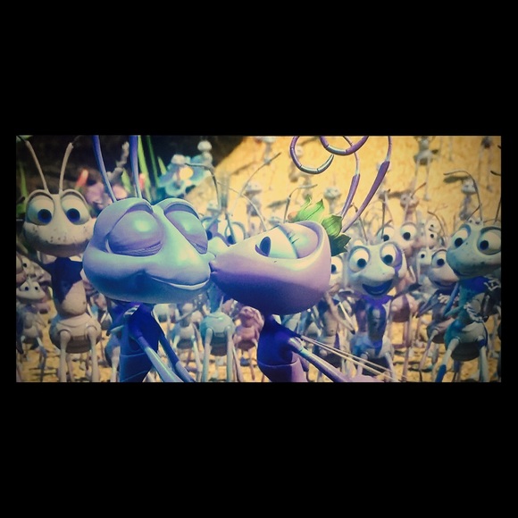 Meet your Posher, Lorri - Picture 1 of 1